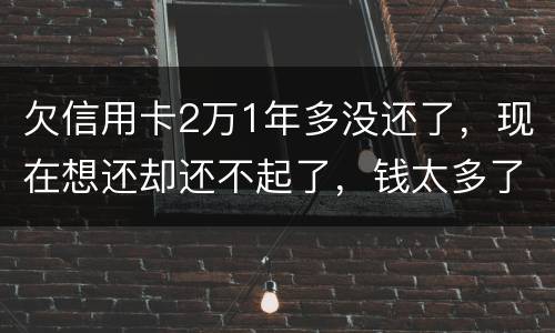 欠信用卡2万1年多没还了，现在想还却还不起了，钱太多了，会有什么后果
