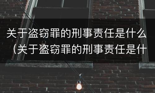 关于盗窃罪的刑事责任是什么（关于盗窃罪的刑事责任是什么案件）