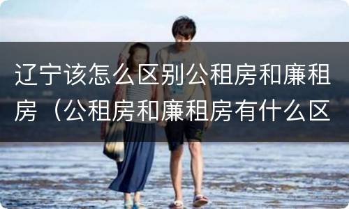 辽宁该怎么区别公租房和廉租房（公租房和廉租房有什么区别,哪个更好点）