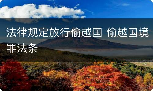 法律规定放行偷越国 偷越国境罪法条