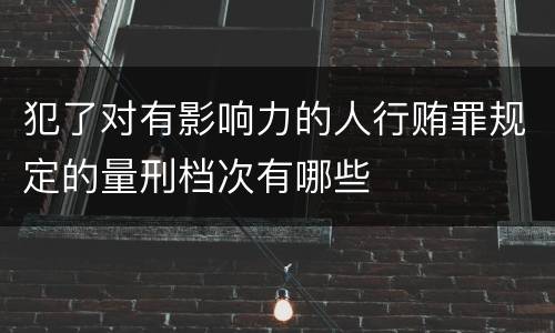 犯了对有影响力的人行贿罪规定的量刑档次有哪些