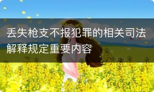 丢失枪支不报犯罪的相关司法解释规定重要内容