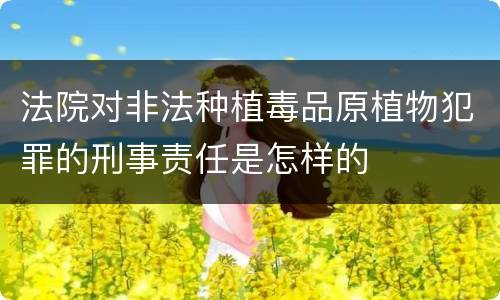 法院对非法种植毒品原植物犯罪的刑事责任是怎样的