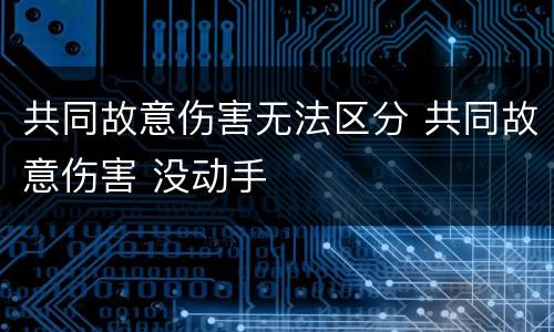 共同故意伤害无法区分 共同故意伤害 没动手