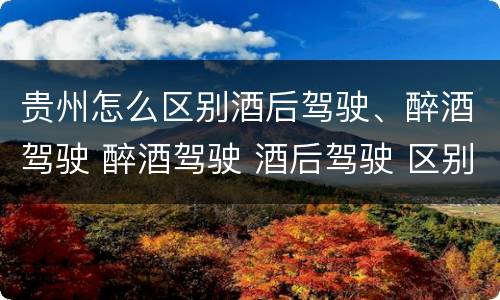 贵州怎么区别酒后驾驶、醉酒驾驶 醉酒驾驶 酒后驾驶 区别