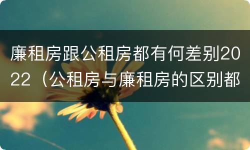 廉租房跟公租房都有何差别2022（公租房与廉租房的区别都在此,别再搞错了!）