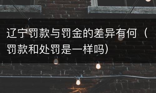 辽宁罚款与罚金的差异有何（罚款和处罚是一样吗）