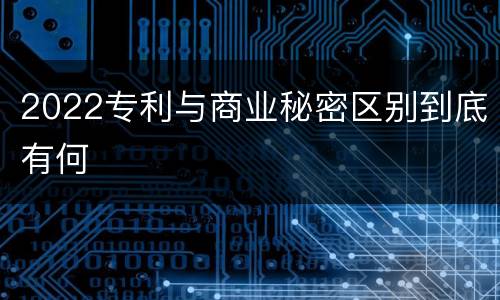 2022专利与商业秘密区别到底有何