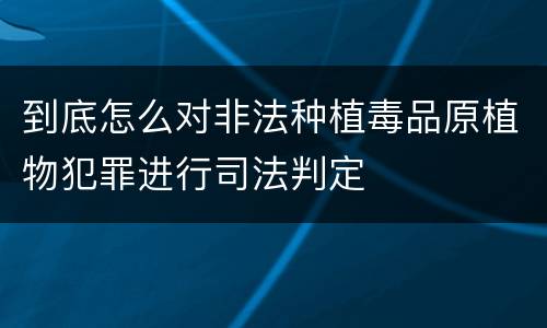 到底怎么对非法种植毒品原植物犯罪进行司法判定