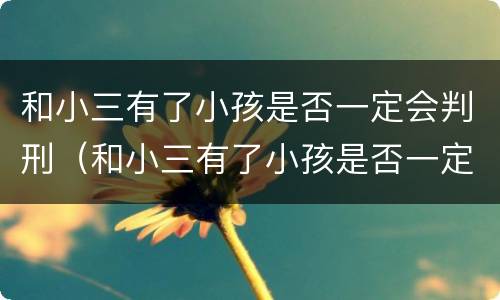 和小三有了小孩是否一定会判刑（和小三有了小孩是否一定会判刑呢）