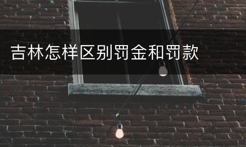 吉林怎样区别罚金和罚款