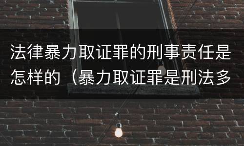 法律暴力取证罪的刑事责任是怎样的（暴力取证罪是刑法多少条）