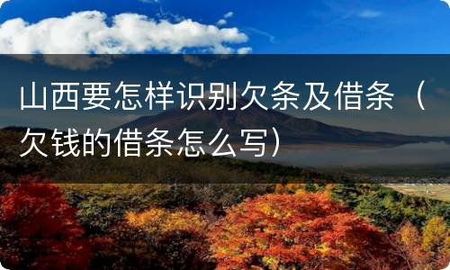 山西要怎样识别欠条及借条（欠钱的借条怎么写）