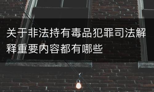 关于非法持有毒品犯罪司法解释重要内容都有哪些