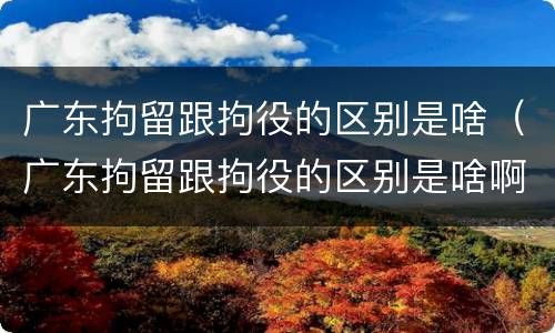 广东拘留跟拘役的区别是啥（广东拘留跟拘役的区别是啥啊）