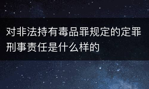 对非法持有毒品罪规定的定罪刑事责任是什么样的