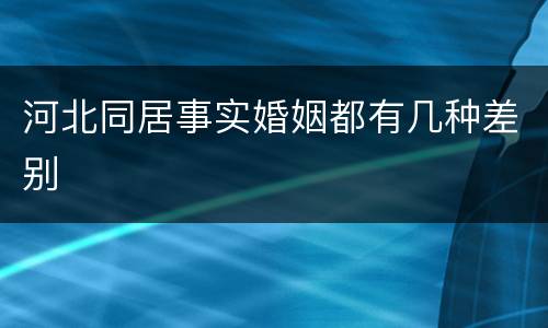 河北同居事实婚姻都有几种差别