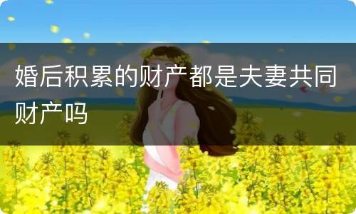 婚后积累的财产都是夫妻共同财产吗
