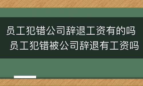 员工犯错公司辞退工资有的吗 员工犯错被公司辞退有工资吗