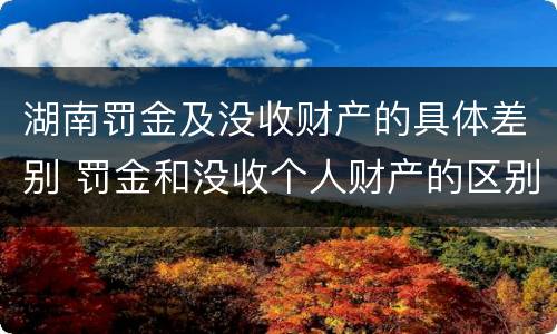 湖南罚金及没收财产的具体差别 罚金和没收个人财产的区别