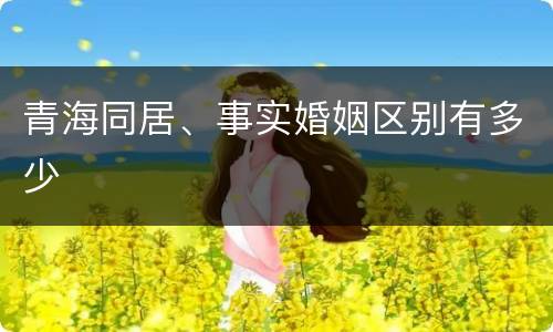 青海同居、事实婚姻区别有多少