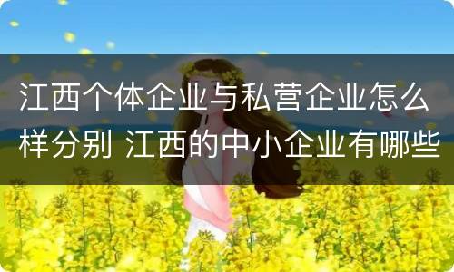 江西个体企业与私营企业怎么样分别 江西的中小企业有哪些