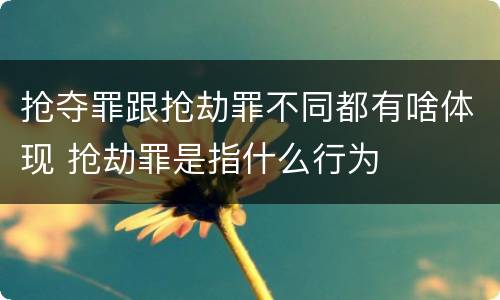 抢夺罪跟抢劫罪不同都有啥体现 抢劫罪是指什么行为