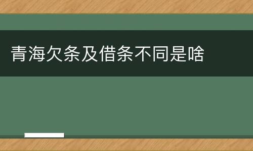 青海欠条及借条不同是啥