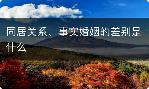同居关系、事实婚姻的差别是什么