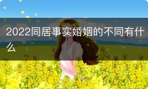 2022同居事实婚姻的不同有什么