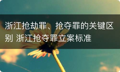 浙江抢劫罪、抢夺罪的关键区别 浙江抢夺罪立案标准