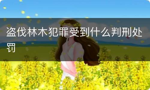 盗伐林木犯罪受到什么判刑处罚
