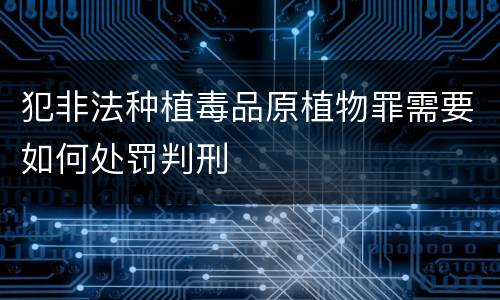 犯非法种植毒品原植物罪需要如何处罚判刑