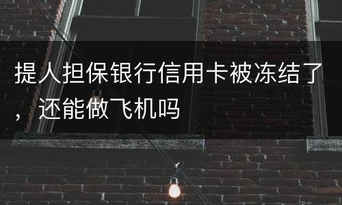 提人担保银行信用卡被冻结了，还能做飞机吗