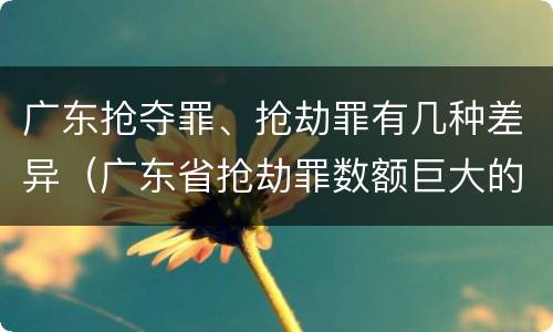 广东抢夺罪、抢劫罪有几种差异（广东省抢劫罪数额巨大的标准）