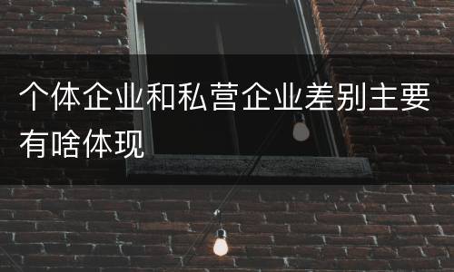 个体企业和私营企业差别主要有啥体现