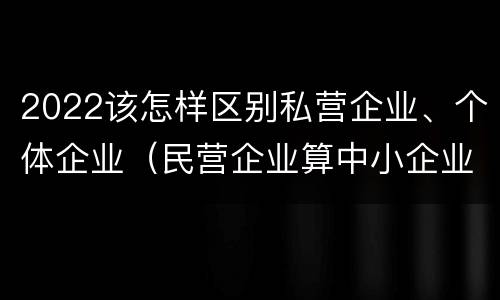 2022该怎样区别私营企业、个体企业（民营企业算中小企业吗）