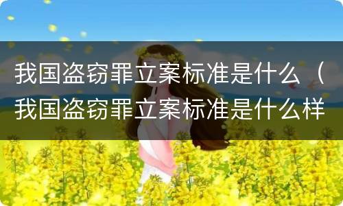 我国盗窃罪立案标准是什么（我国盗窃罪立案标准是什么样的）