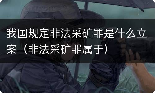 我国规定非法采矿罪是什么立案（非法采矿罪属于）