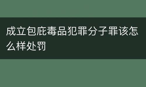 成立包庇毒品犯罪分子罪该怎么样处罚