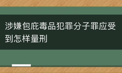 涉嫌包庇毒品犯罪分子罪应受到怎样量刑