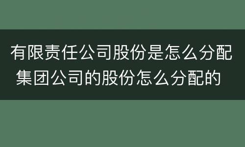 有限责任公司股份是怎么分配 集团公司的股份怎么分配的