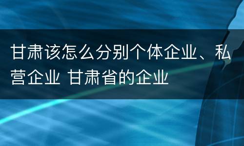 甘肃该怎么分别个体企业、私营企业 甘肃省的企业