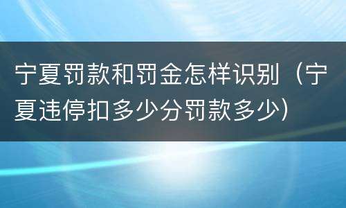 宁夏罚款和罚金怎样识别（宁夏违停扣多少分罚款多少）