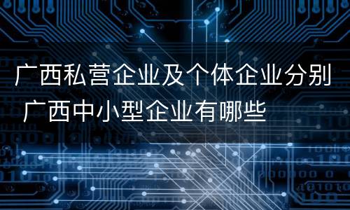 广西私营企业及个体企业分别 广西中小型企业有哪些