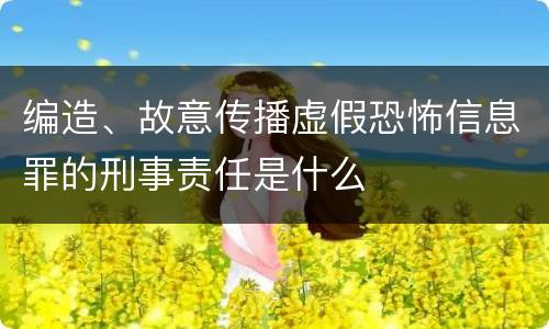 编造、故意传播虚假恐怖信息罪的刑事责任是什么
