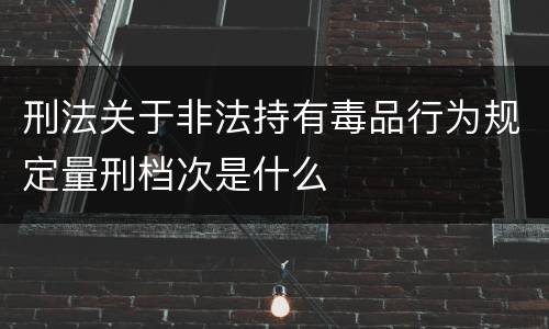 刑法关于非法持有毒品行为规定量刑档次是什么