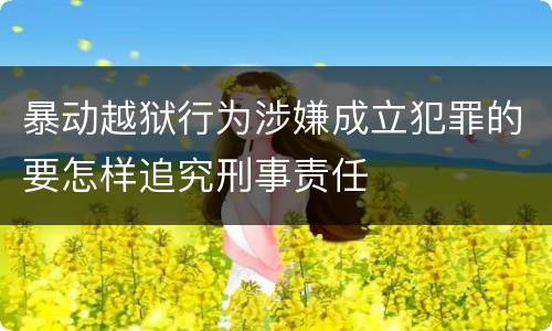 暴动越狱行为涉嫌成立犯罪的要怎样追究刑事责任