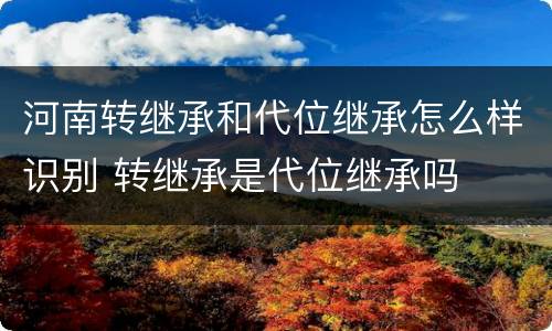 河南转继承和代位继承怎么样识别 转继承是代位继承吗