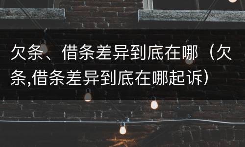 欠条、借条差异到底在哪（欠条,借条差异到底在哪起诉）